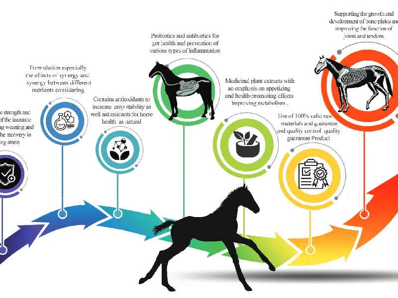 مکمل رشد برای کره اسب ها