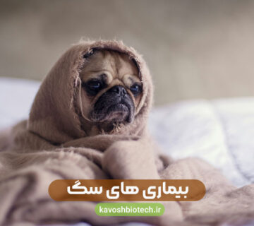بیماری های سگ