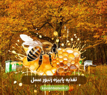 Bee fall nurish 360x320