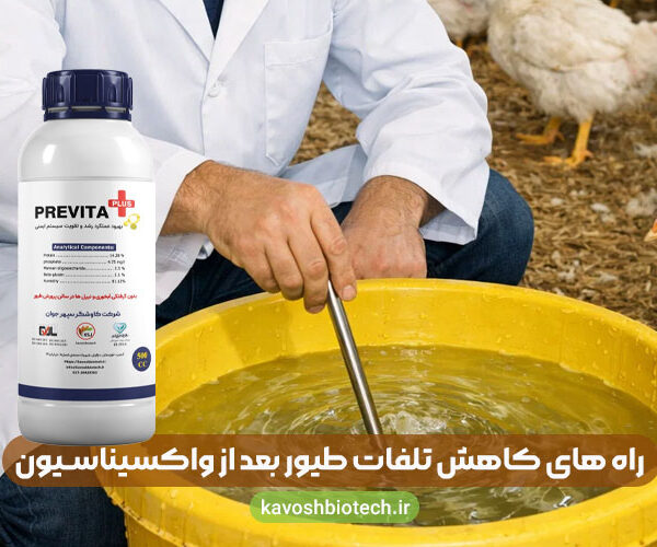 poultry-mortality-after-vaccination راه های کاهش تلفات طیور بعد از واکسیناسیون
