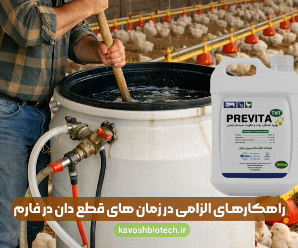Stopping-feed's-in-farm راهکارهای الزامی در زمان های قطع دان در فارم