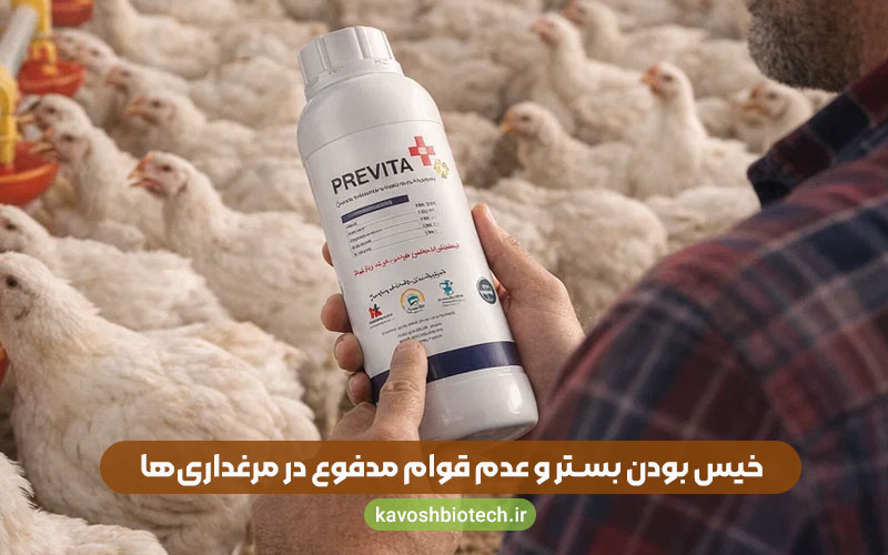 خیس بودن بستر و عدم قوام مدفوع در مرغداری ها