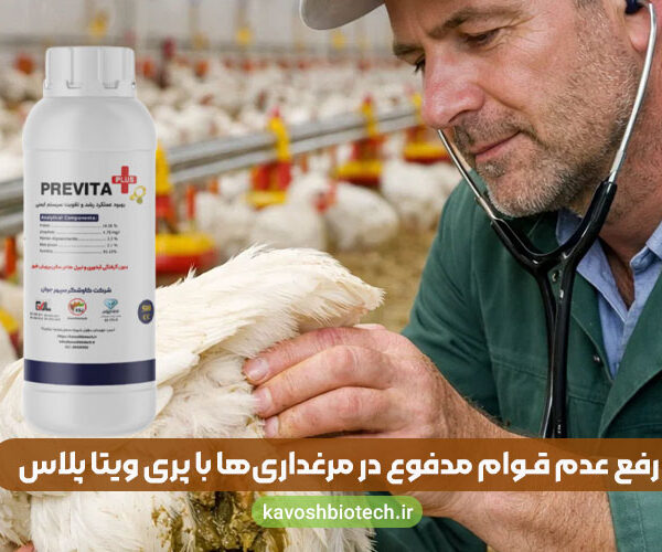 consistency-chicken-feces خیس بودن بستر و عدم قوام مدفوع در مرغداری ها