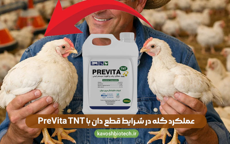 راهکارهای الزامی در زمان های قطع دان در فارم