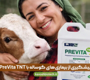 درمان بیماری‌های گوساله‌ شیرخوار