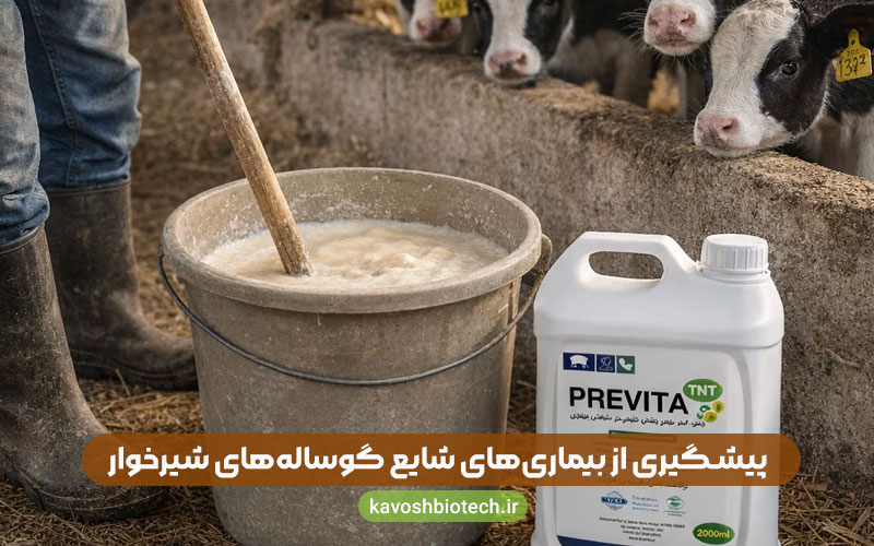 درمان بیماریهای گوساله شیرخوار