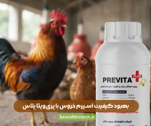 بهبود کیفیت اسپرم خروس با پری‌ویتا پلاس