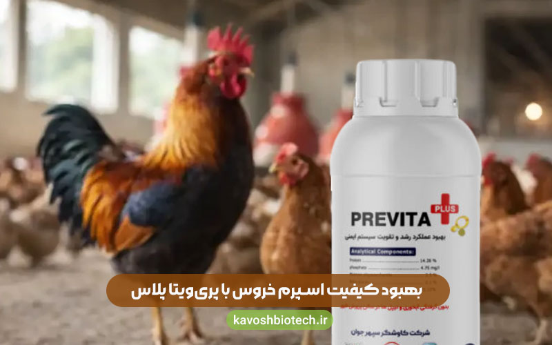 بهبود کیفیت اسپرم خروس با پریویتا پلاس