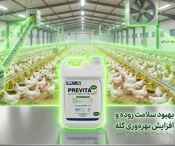 مورفولوژی روده طیور و نقش افزایش طول پرز روده