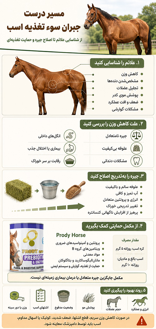 درمان سوء تغذیه اسب 