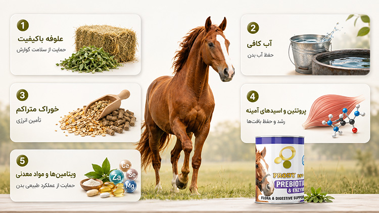 راهنمای تغذیه اسب