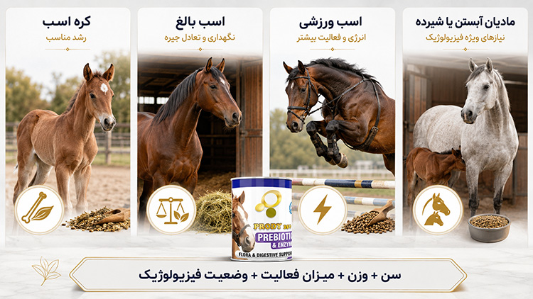 راهنمای تغذیه اسب