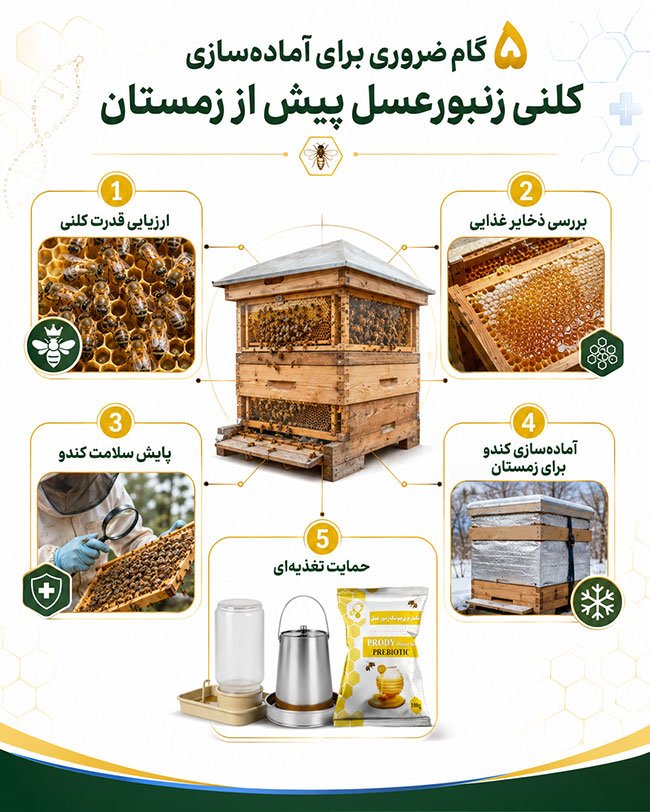 تقویت کندو در پاییز و زمستان