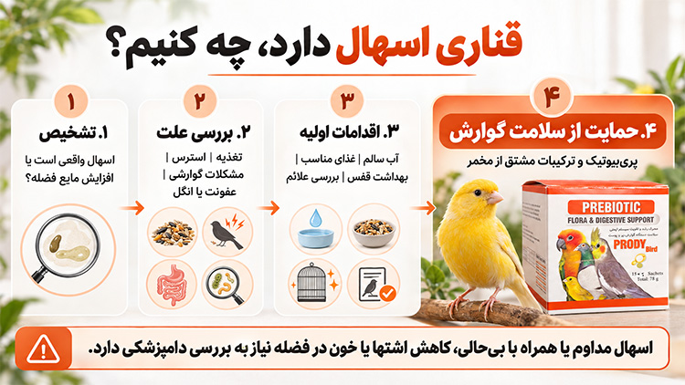 درمان اسهال قناری